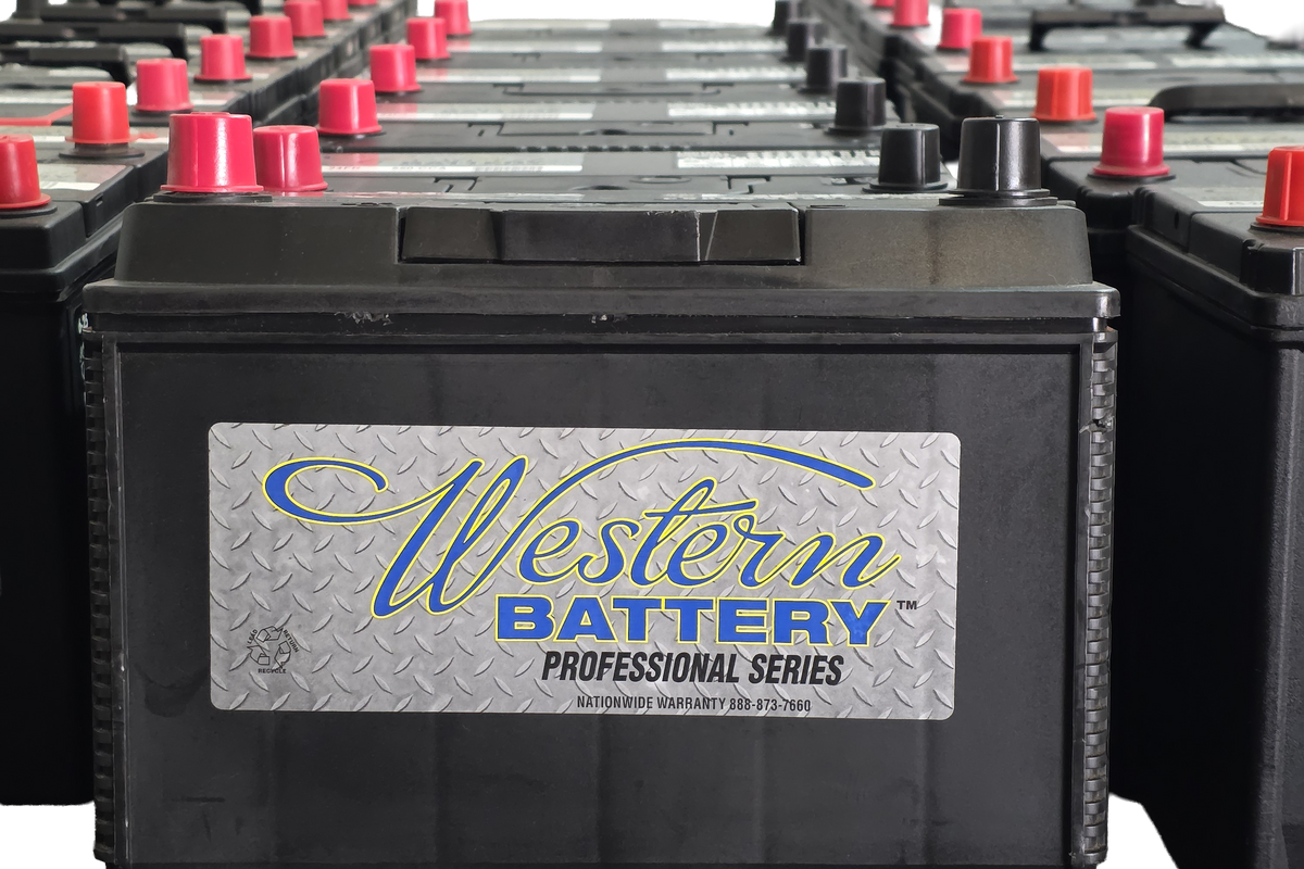 Row of Western Battery Professional Series batteries on a white background